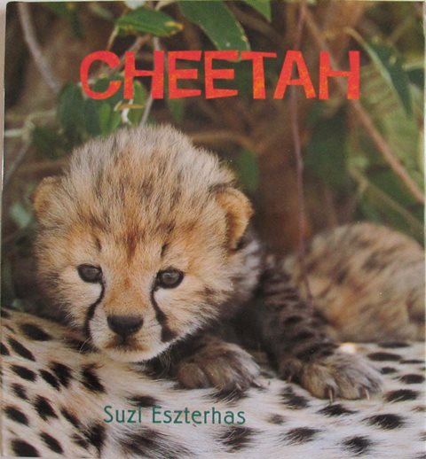 Front cover of Cheetah by Suzi Eszterhas