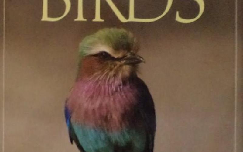 Front cover of The Complete Book of Southern African Birds by Ginn et al