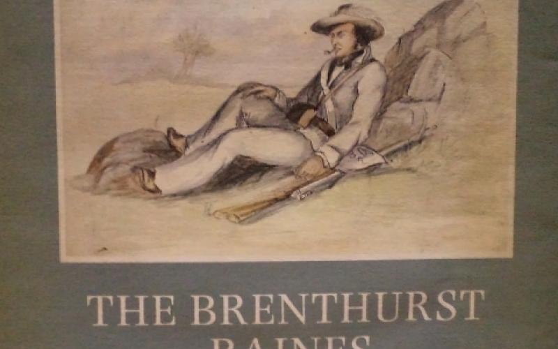 Front cover of The Brenthurst Baines by Marius and Joy Diemont