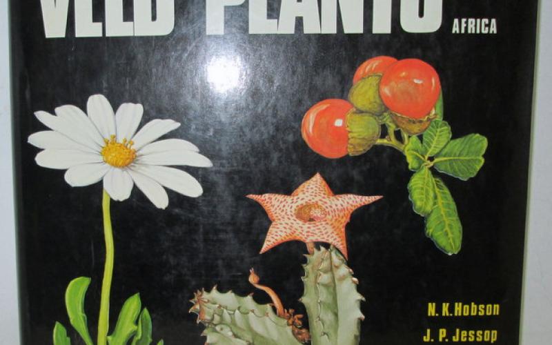 Front Cover of Veld Plants of Southern Africa by N. K. Hobson
