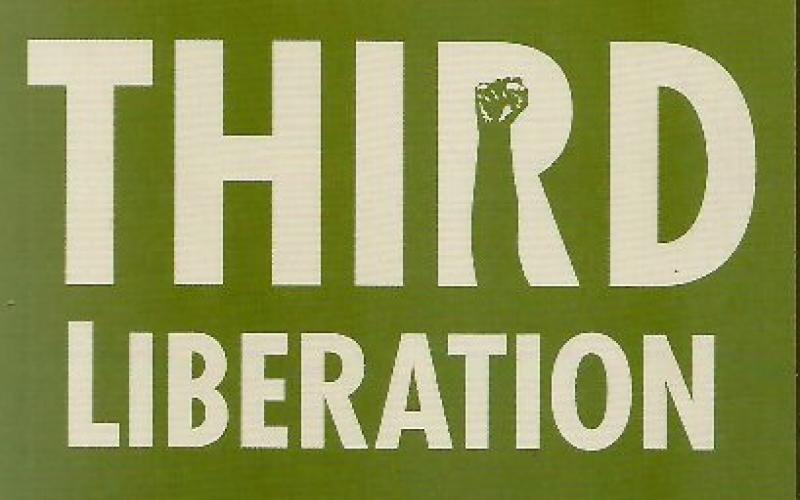 Front cover of Africa's Third Liberation by Greg Mills and Jeffrey Herbst