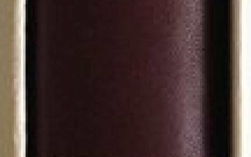 Spine of The Cape House and its Interior by A M Obholzer, M Baraitser & W D Malherbe