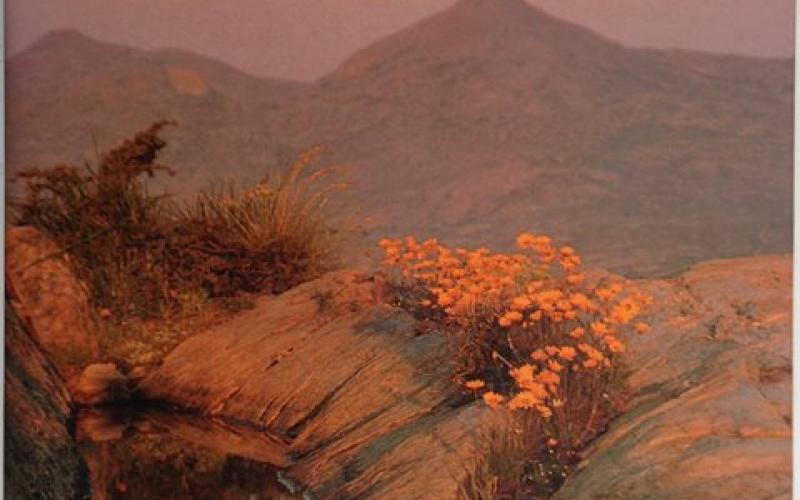 Front Cover of Namaqualand Garden of the Gods by Freeman Patterson