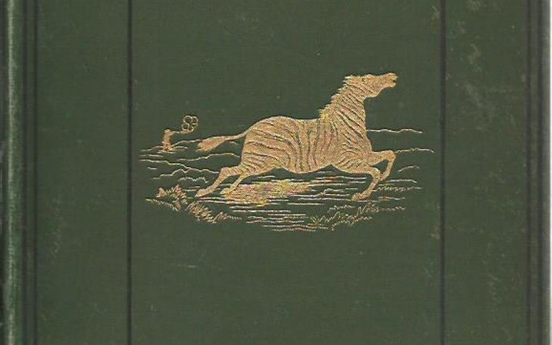 Front cover of  The Gold Regions of South Eastern Africa by Thomas Baines