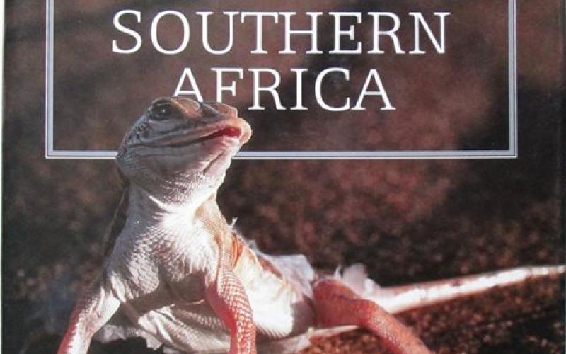 Front cover of The Living Deserts of Southern Africa by Barry Lovegrove