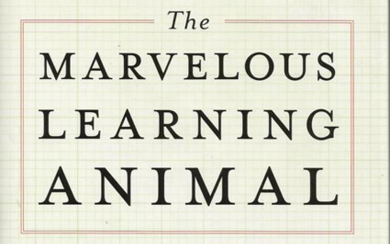 Front cover of The Marvelous Learning Animal by Arthur W Staats