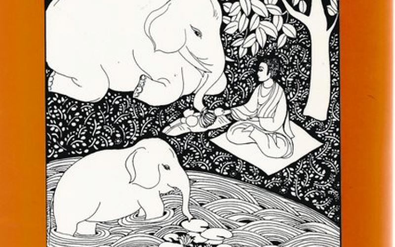 Front cover of Our Appointment With Life by Thich Nhat Hanh