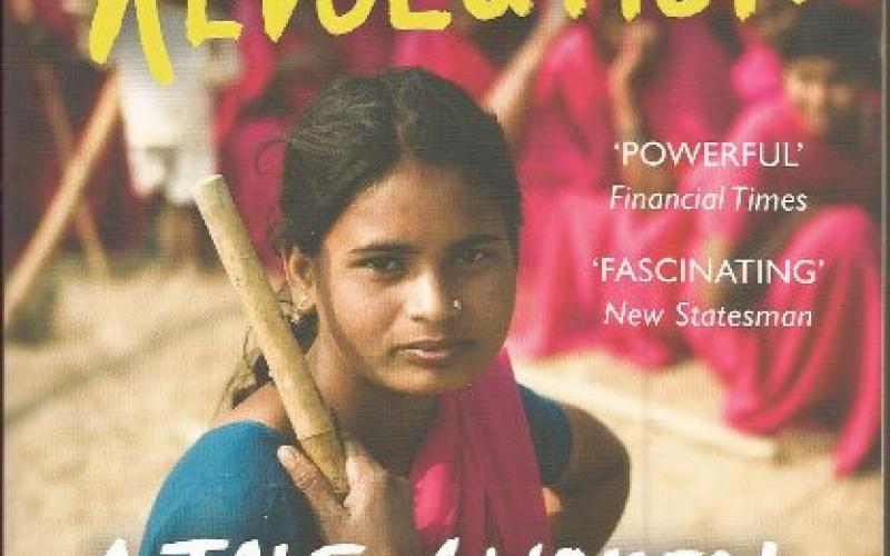 Front cover of Pink Sari Revolution by Amana Fontanella-Khan