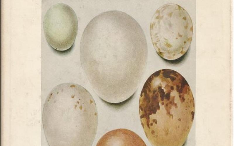 Front cover of Priest's Eggs Of Southern African Birds by J.M. Winterbottom