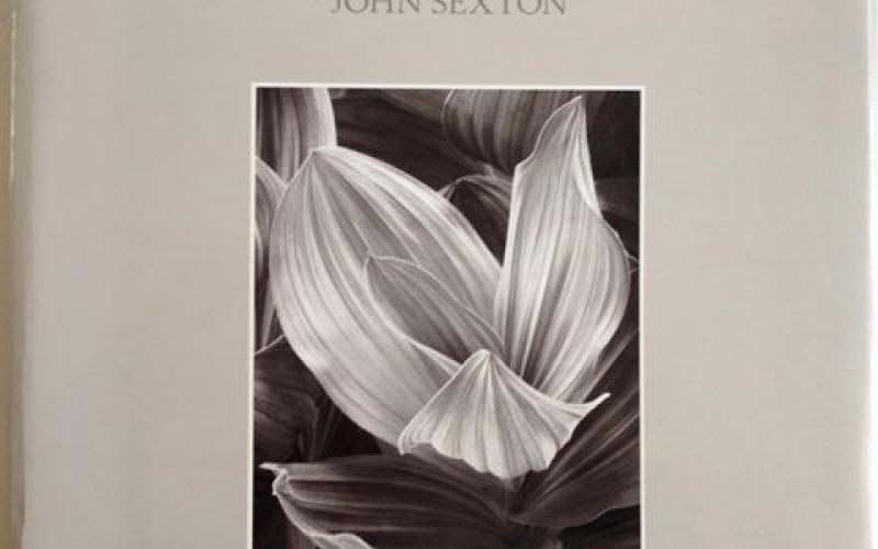 Front Cover of Quiet Light by John Sexton