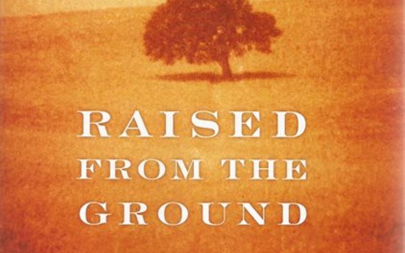 Front cover of Raised From the Ground by Jose Saramago
