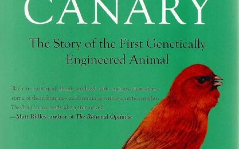 Front cover of The Red Canary by Tim Birkhead