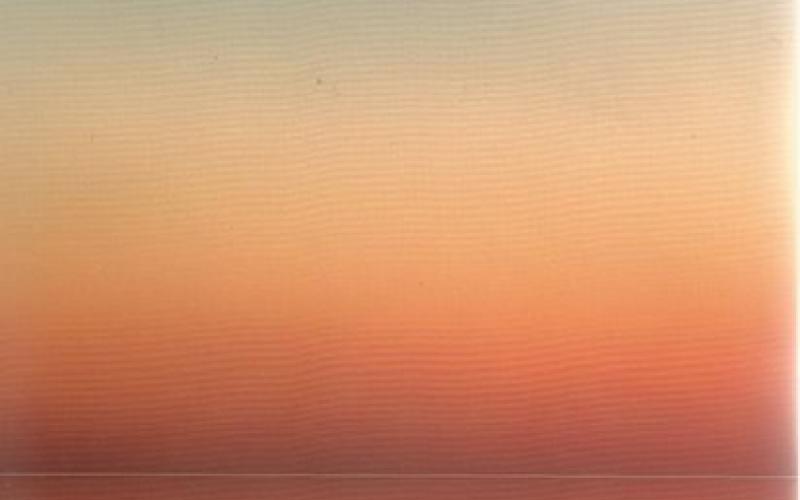 Front cover of The Rise by Sarah Lewis