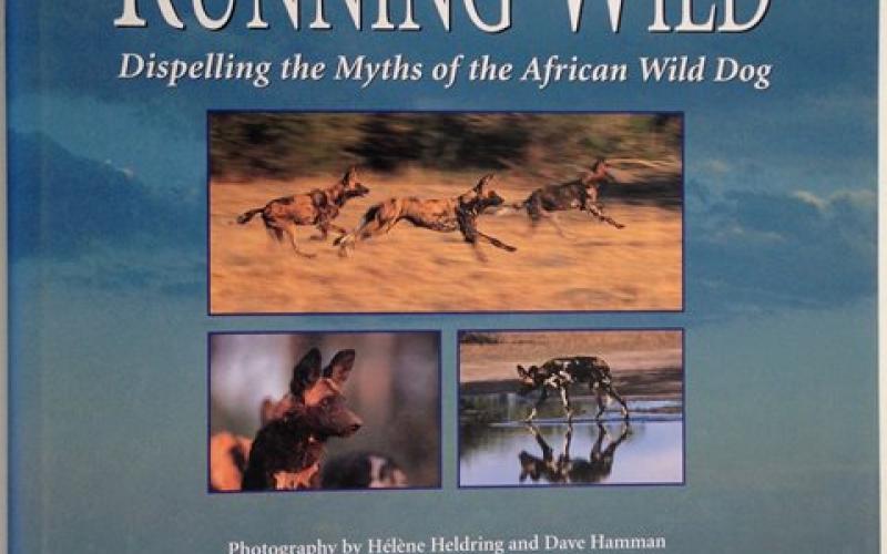 Front Cover of Running Wild by John McNutt and Lesley Boggs  