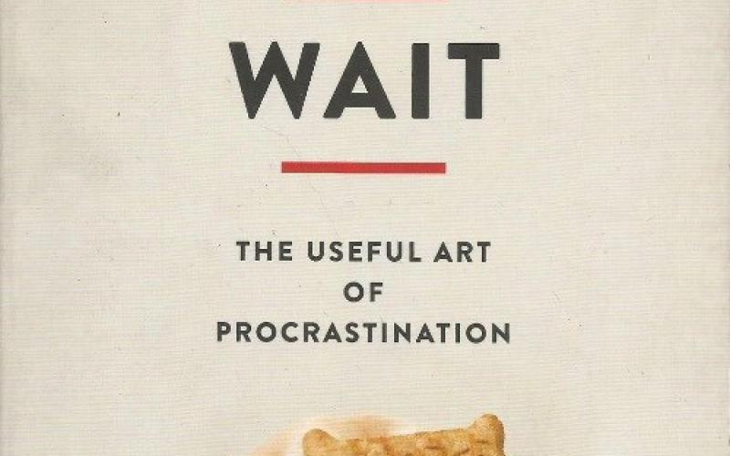 Front cover of Wait by Frank Partnoy