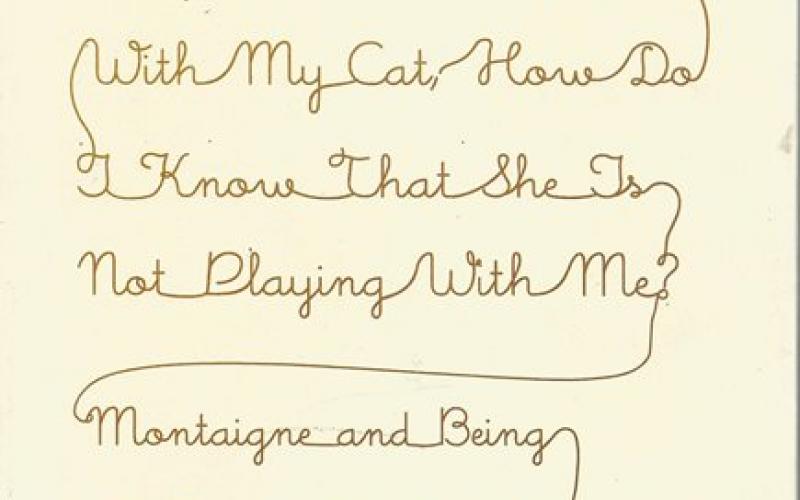Front cover of When I am Playing with My Cat by Saul Frampton