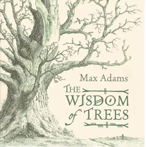 Front cover of The Wisdom of Trees by Max Adams