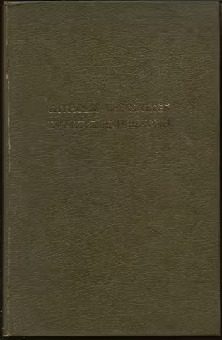Front cover of Catholic Beginnings in Natal and Beyond by J B Brain