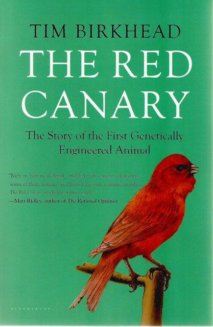 Front cover of The Red Canary by Tim Birkhead