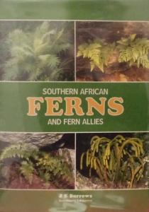 Front cover of Southern African Ferns and Fern Allies by J. E. Burrows