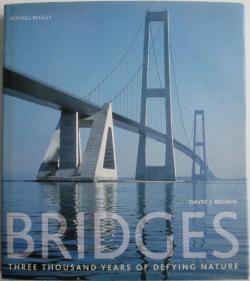 Front cover of Bridges by David J Brown