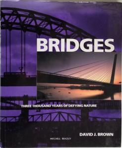 Front cover of Bridges by David J Brown