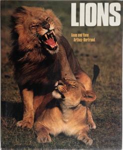 Front Cover of Lions by Anne and Yann Arthus-Bertrand