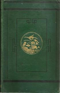 Front cover of Mandalay to Momien by John Anderson
