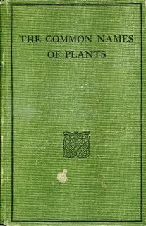 Front cover of The Common Names of Plants by Rudolf Marloth