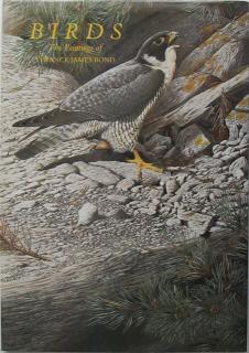 Front cover of Birds by Terance James Bond