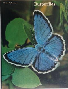 Front Cover of Butterflies by Thomas C Emmel