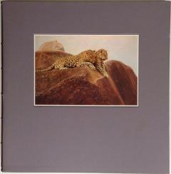 Front Cover of Cats of Africa by Anthony Hall-Martin and Paul Bosman