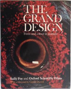 Front Cover of The Grand Design by Sally Foy