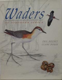 Front cover of Waders of Southern Africa by Hockey & Douie