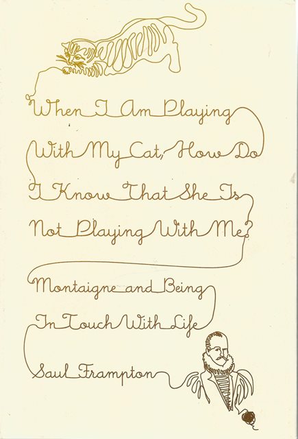 Front cover of When I am Playing with My Cat by Saul Frampton
